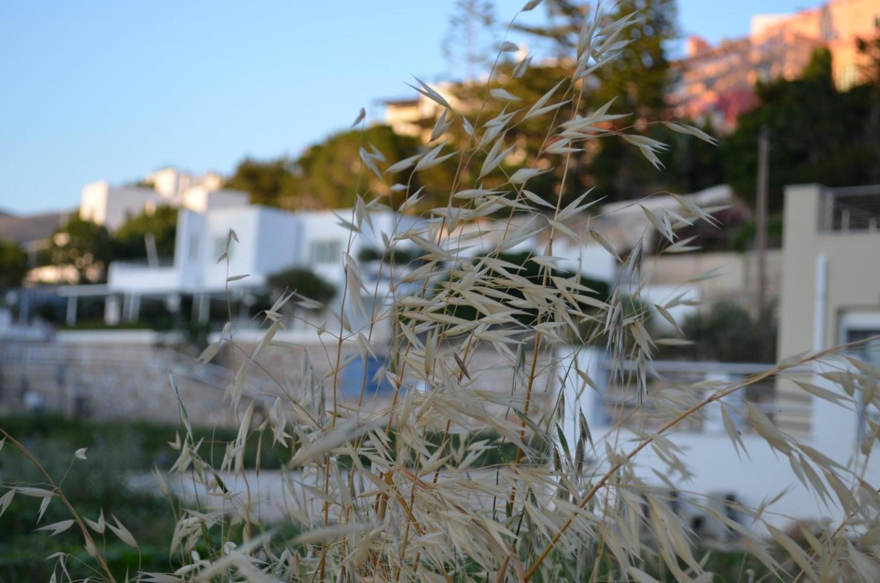 White Lotus Seaside Studio Kini Exterior photo